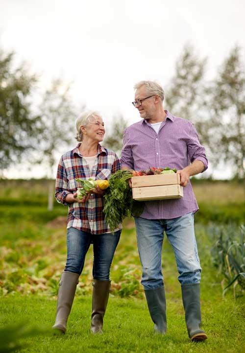 Senior Couple Working on Farm